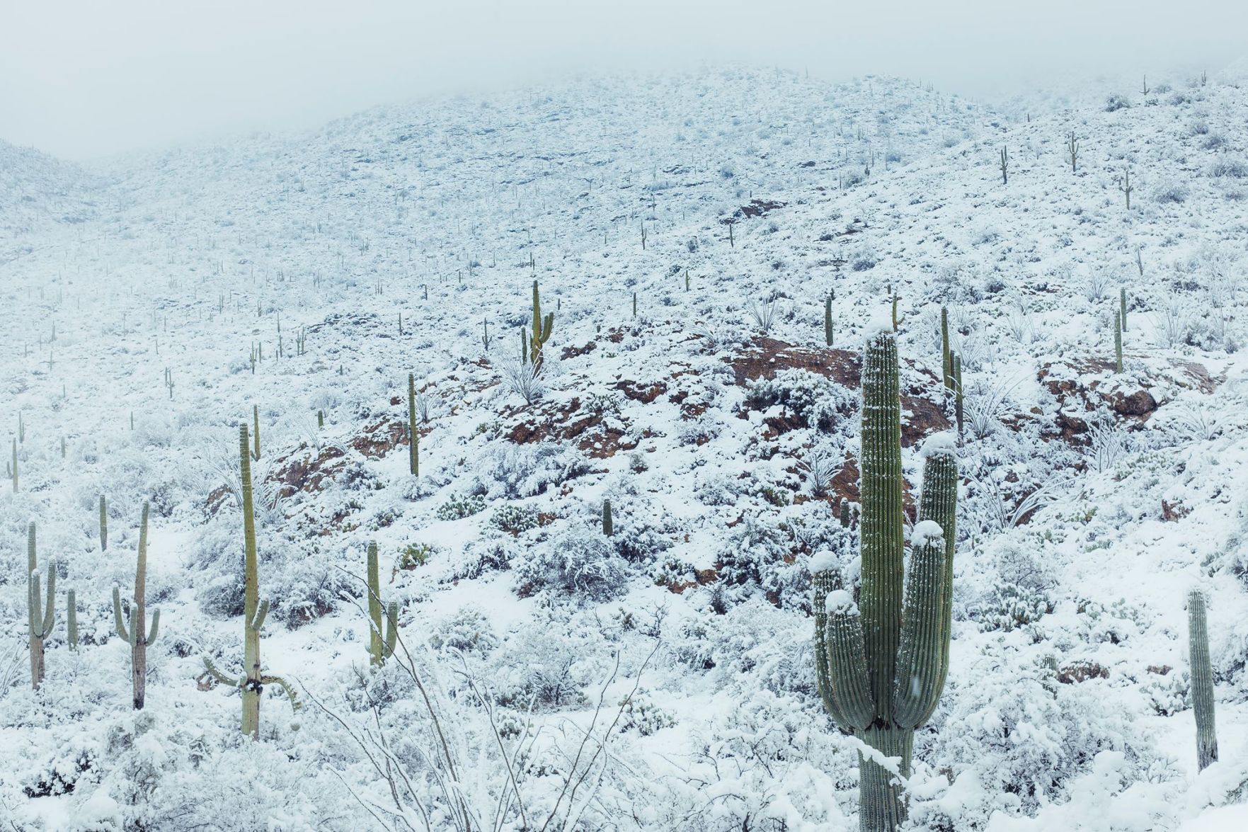 Snow in ÃÛèÖÖ±²¥